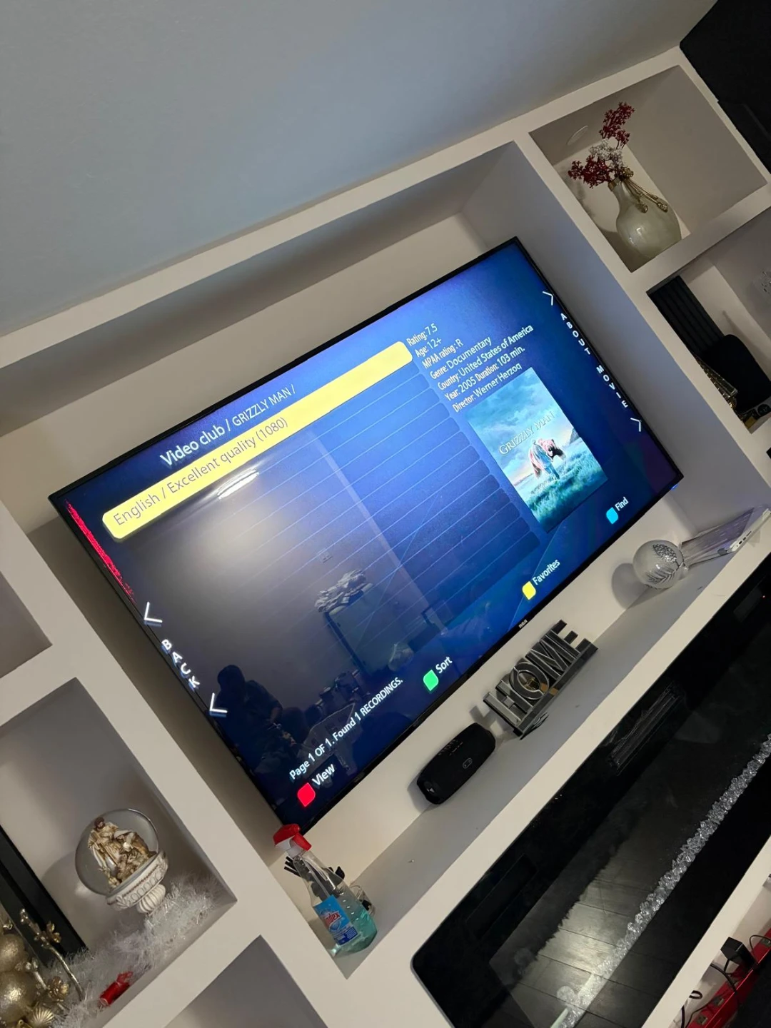 Tv Mounting service