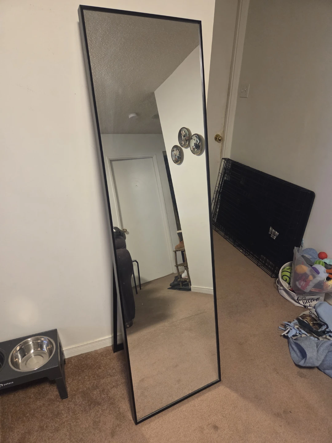 Black Standing Full Length Mirror