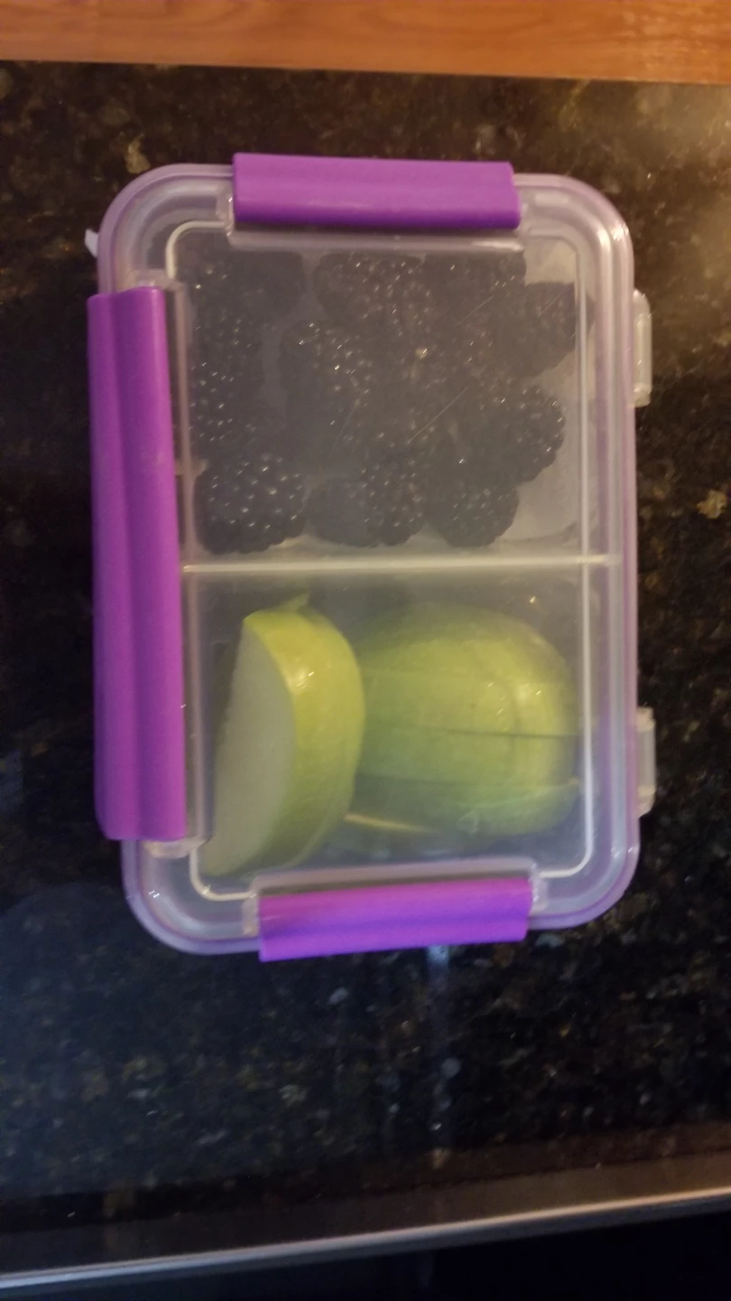 SNAP LOCK-2 Compartment Lunch Container - photo 3