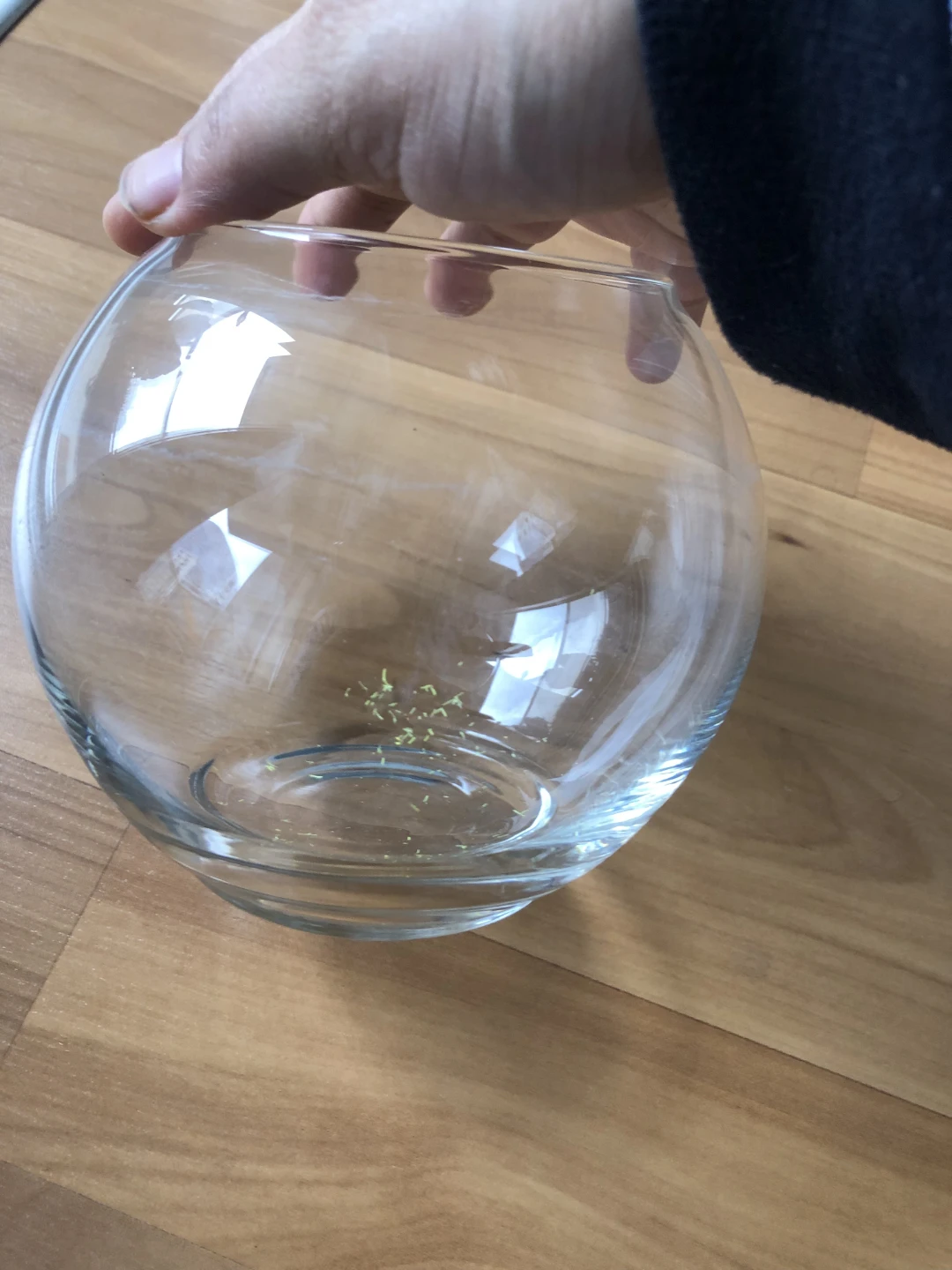 Glass Fish Bowl
