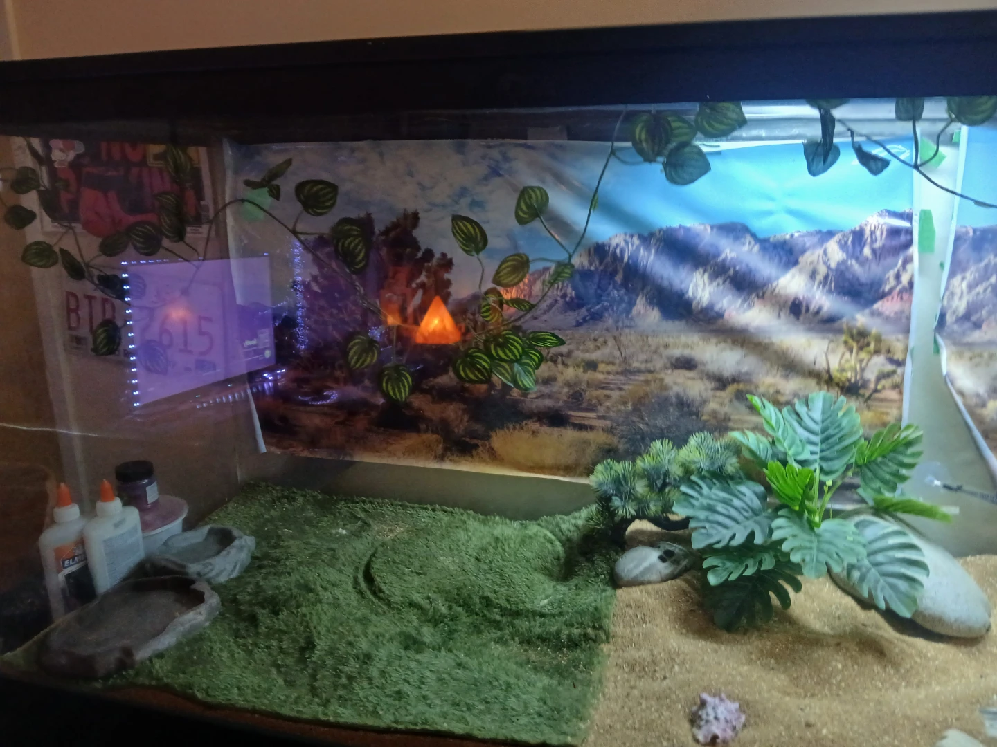 Lizard cage and lights - photo 3