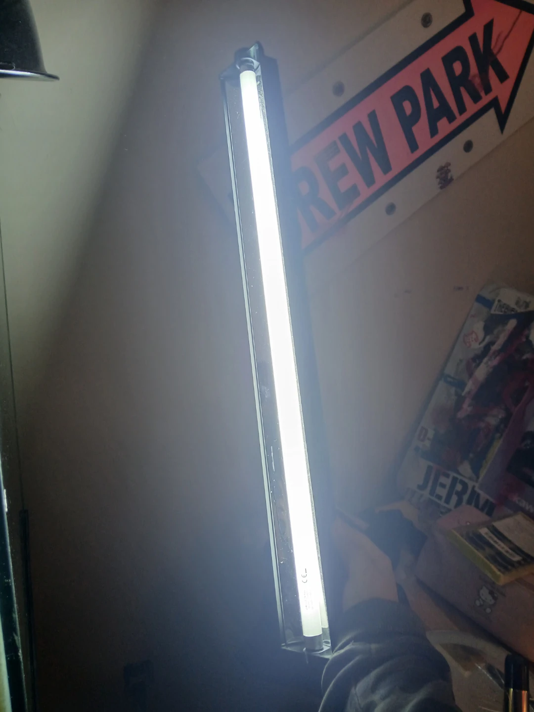 Lizard cage and lights - photo 4