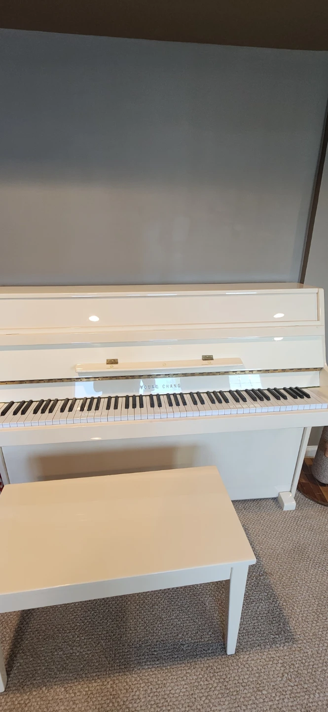 Ivory young change piano - photo 2