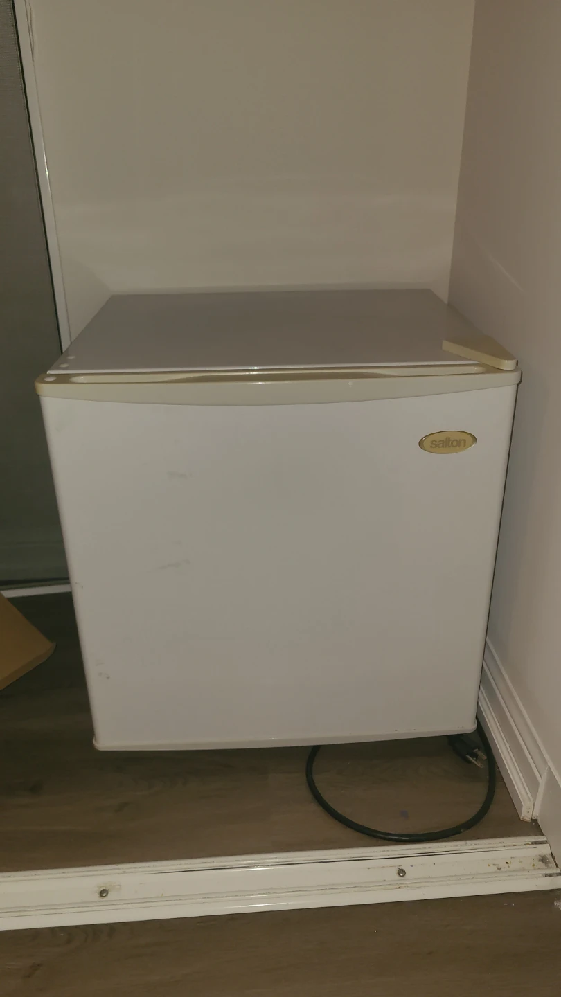 Sallon Mini Fridge
