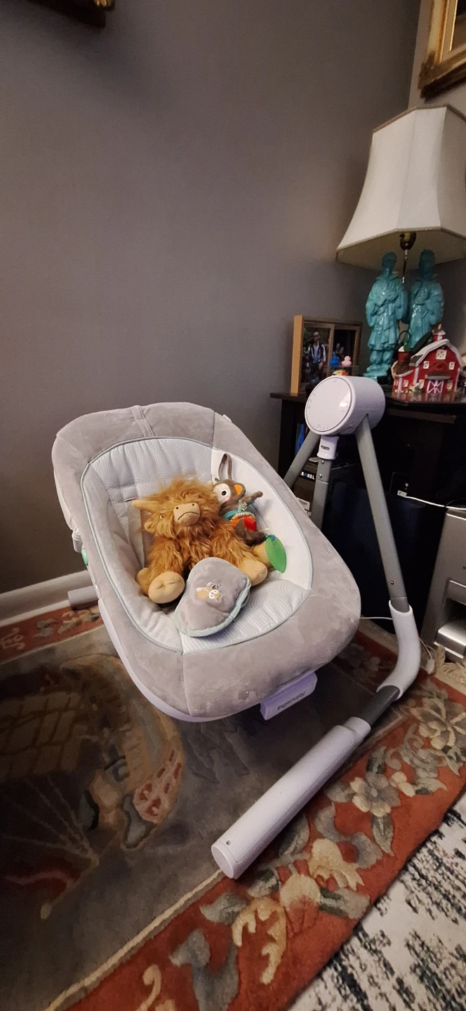 Graco Baby Swing