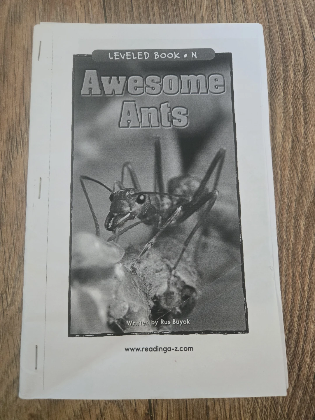 Awesome Ants Leveled Book N