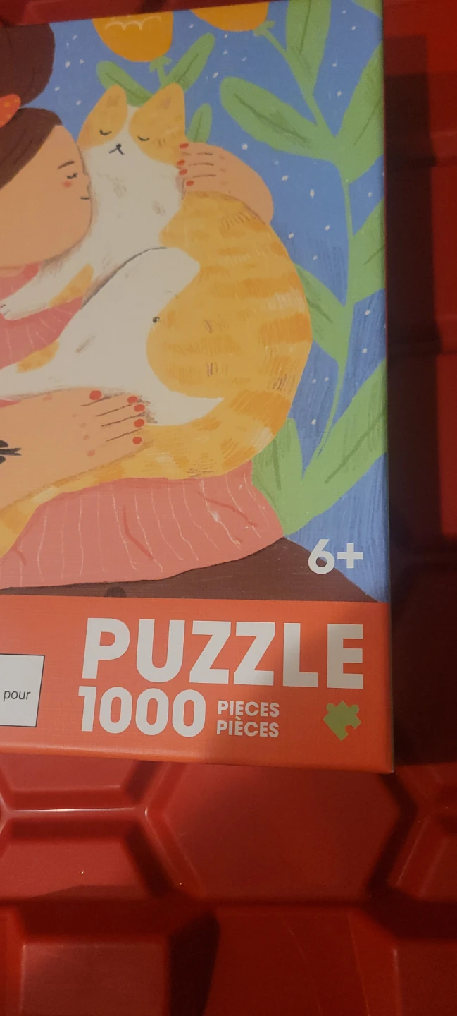 MINISO 1000 Piece Puzzle - Girl Hugging Cat - photo 2