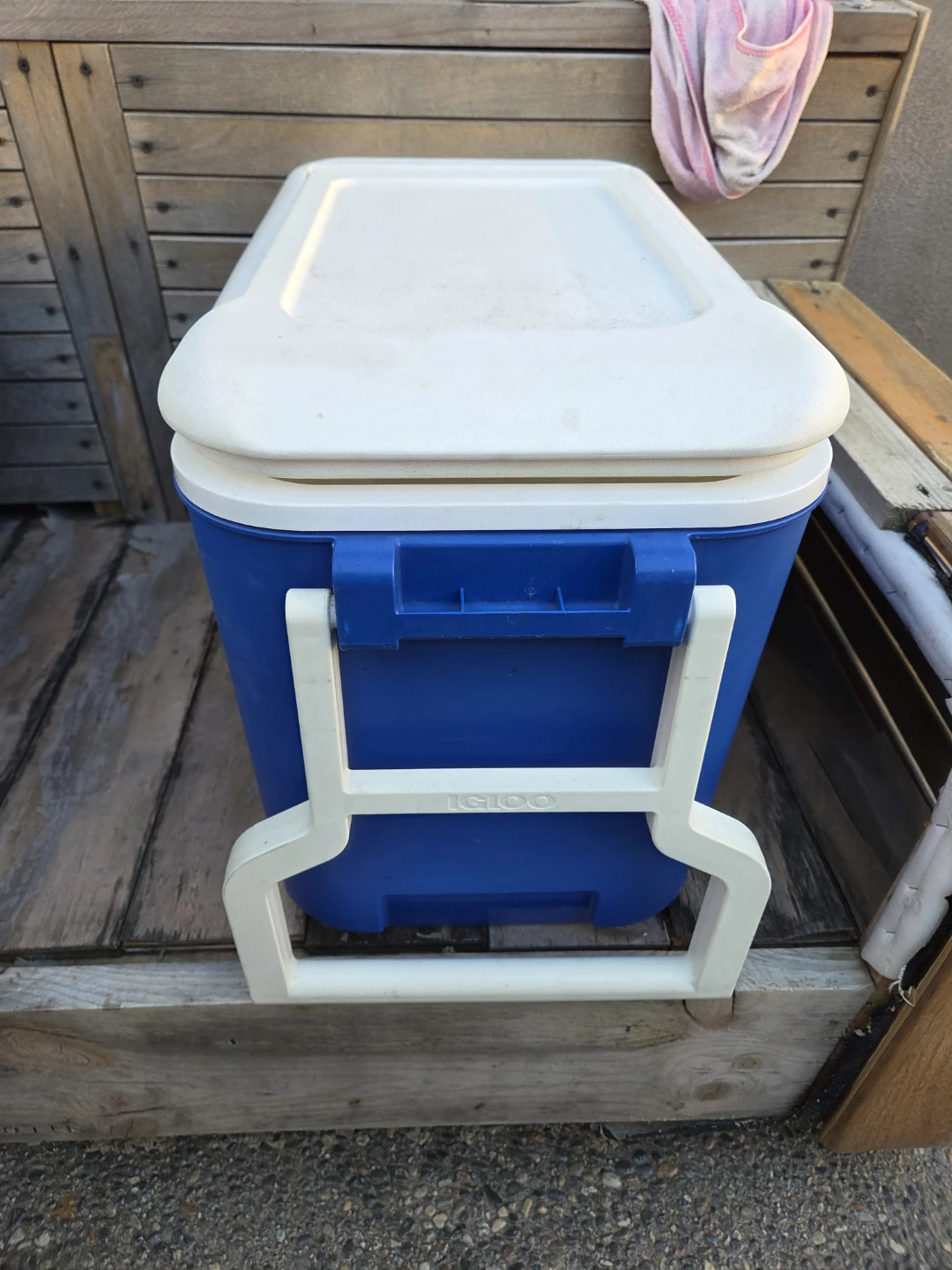 Igloo Cooler - Blue/White
