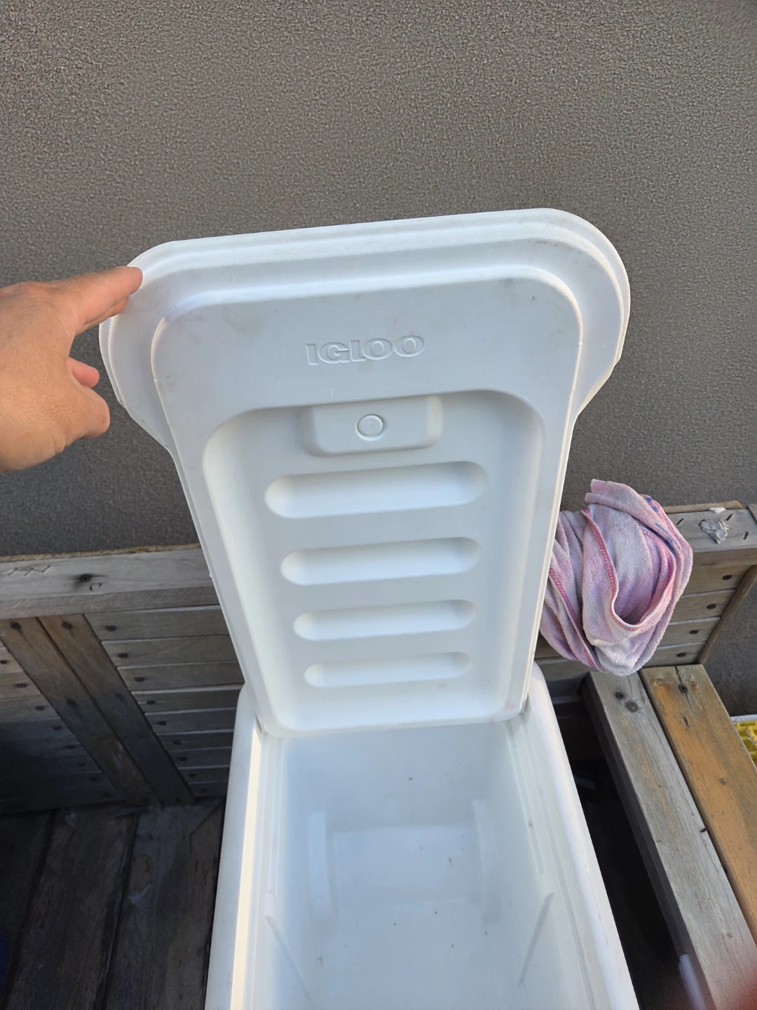 Igloo Cooler - Blue/White - photo 3