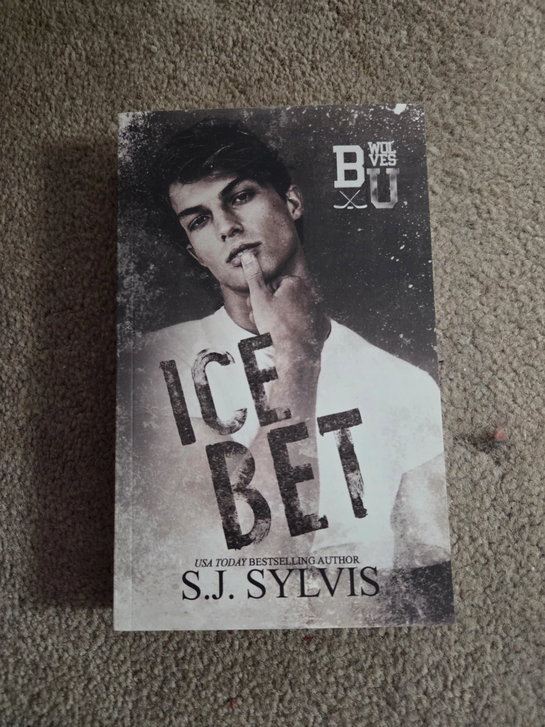 Ice Bet by S.J. Sylvis Paperback Book