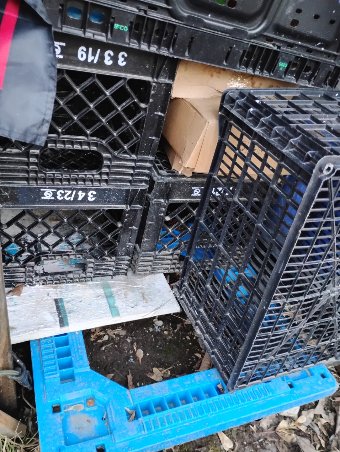 Milk Crates - Black & Green (6-12) - photo 5