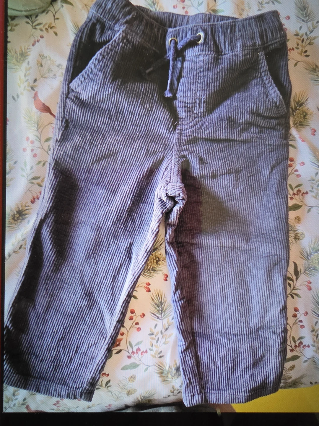 Gray Corduroy Pants - photo 3
