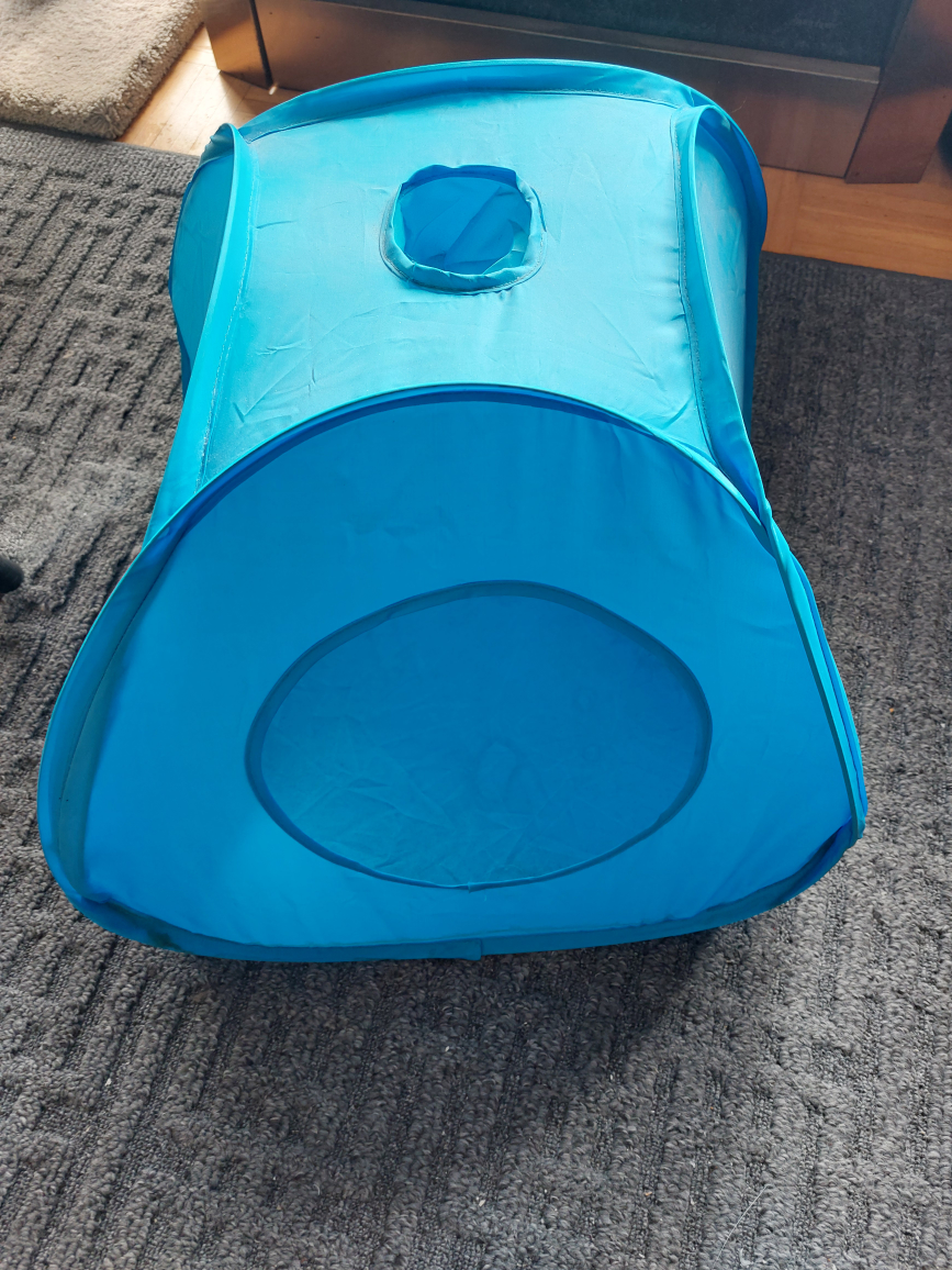play tent for cats