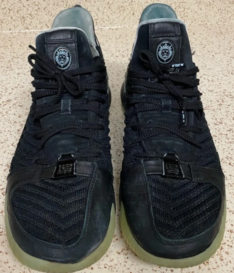 Nike LeBron 16 - photo 4