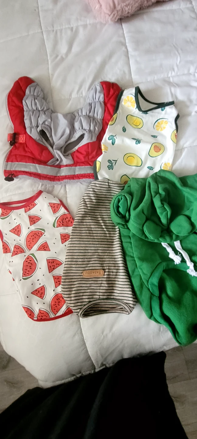 Bundle of 5 Dog Shirts