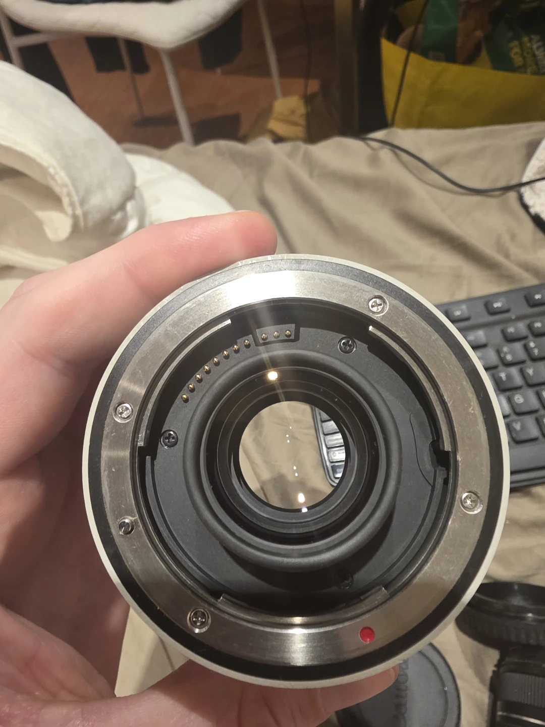 Canon Extender EF 2x III - photo 3