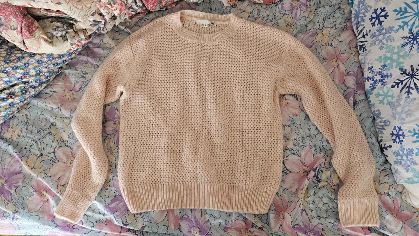 2 sweaters for $5 - photo 2