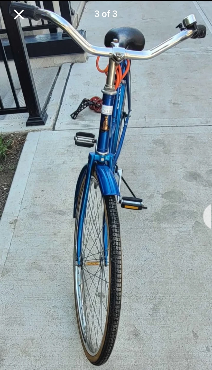 Raleigh Universal Cruiser Bicycle