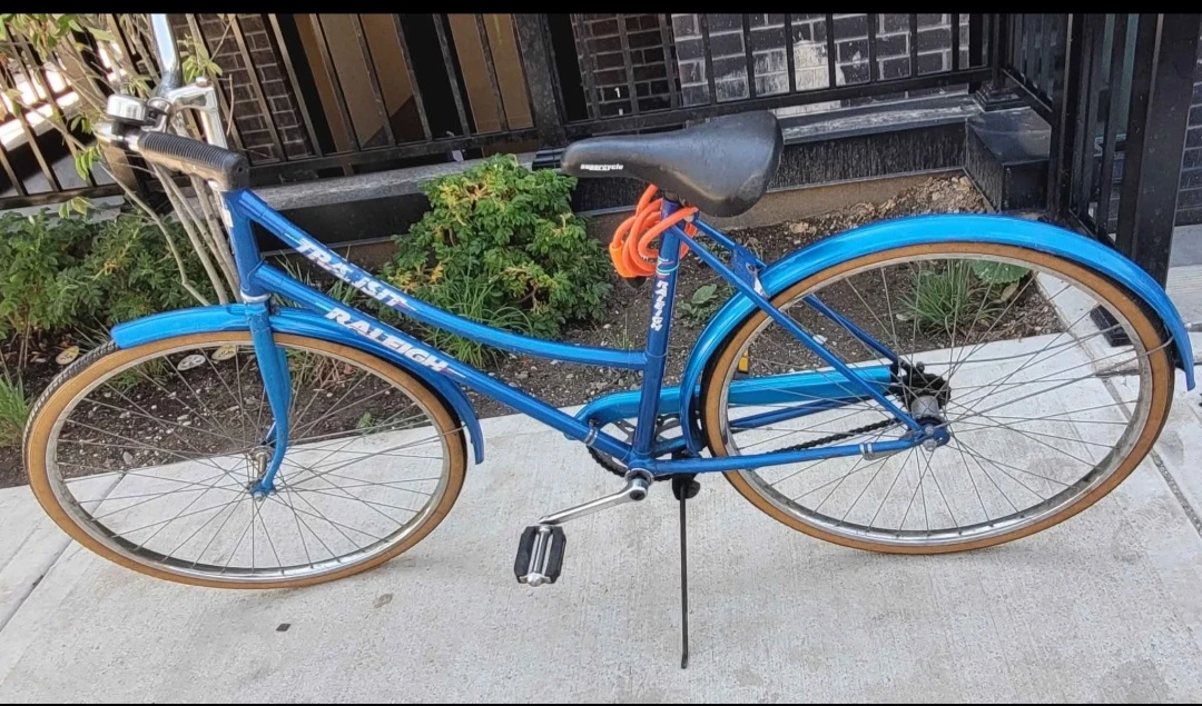 Raleigh Universal Cruiser Bicycle - photo 2