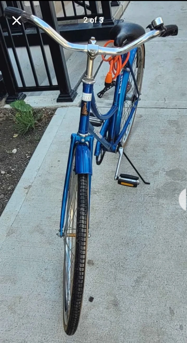 Raleigh Universal Cruiser Bicycle - photo 3