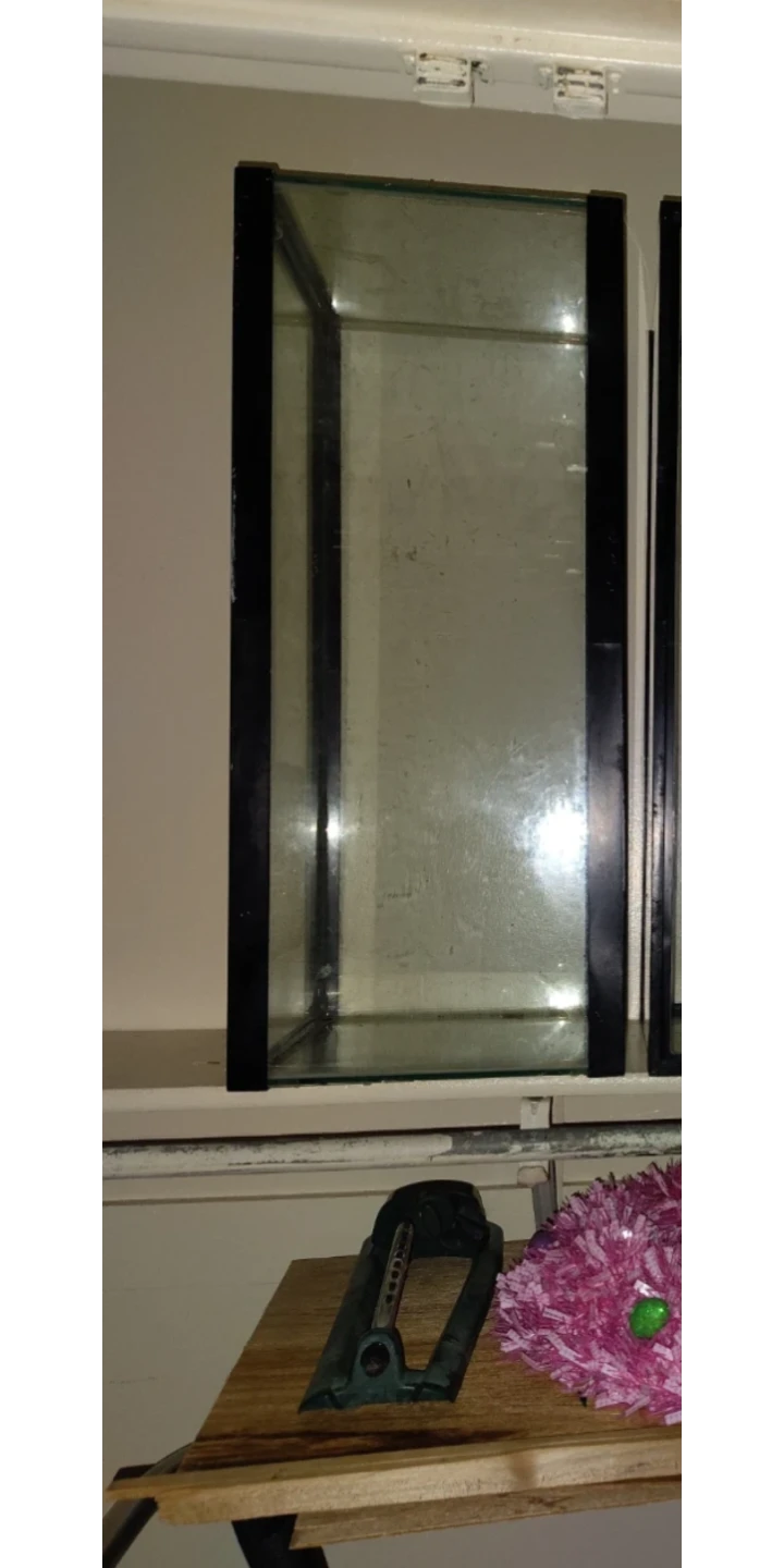 Glass Aquarium Tank