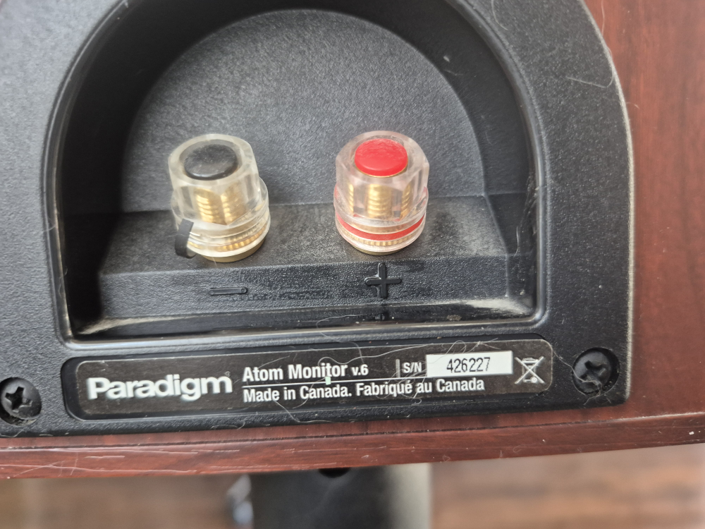 Paradigm Atom Monitor v.6 Speakers - photo 3