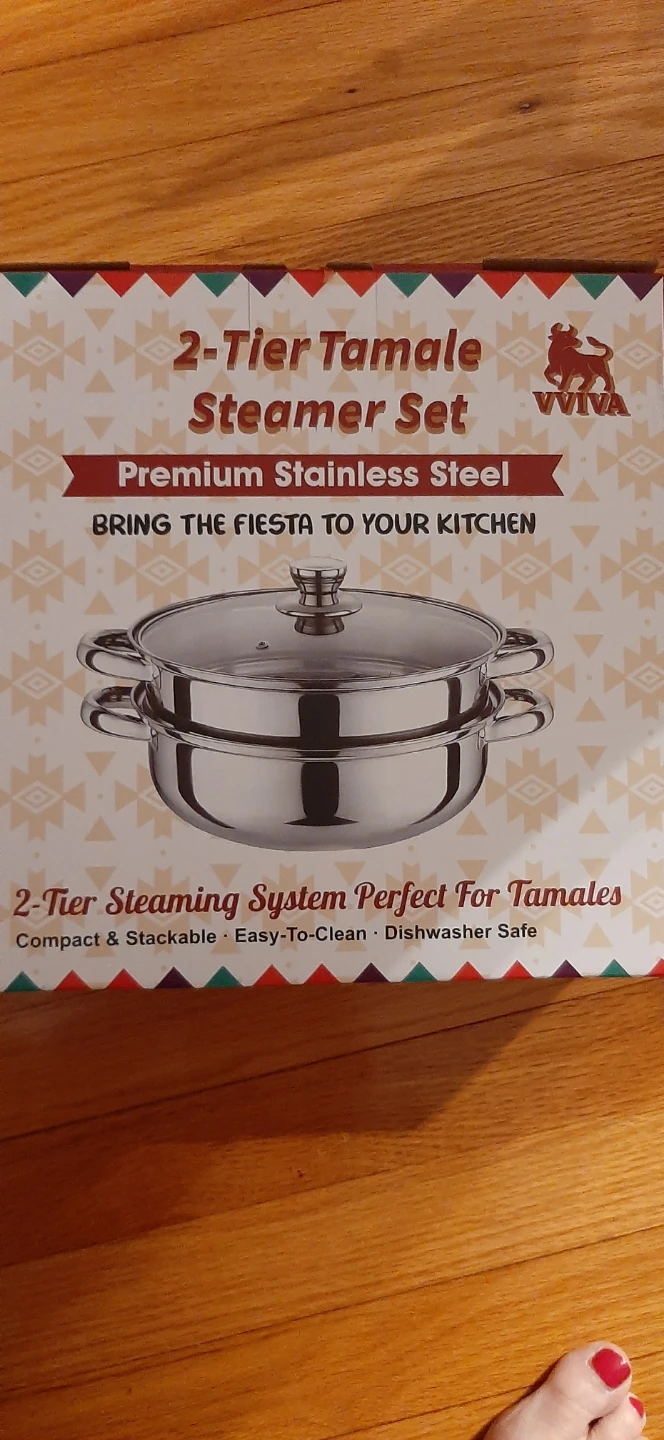 VVIVA all purpose steamer