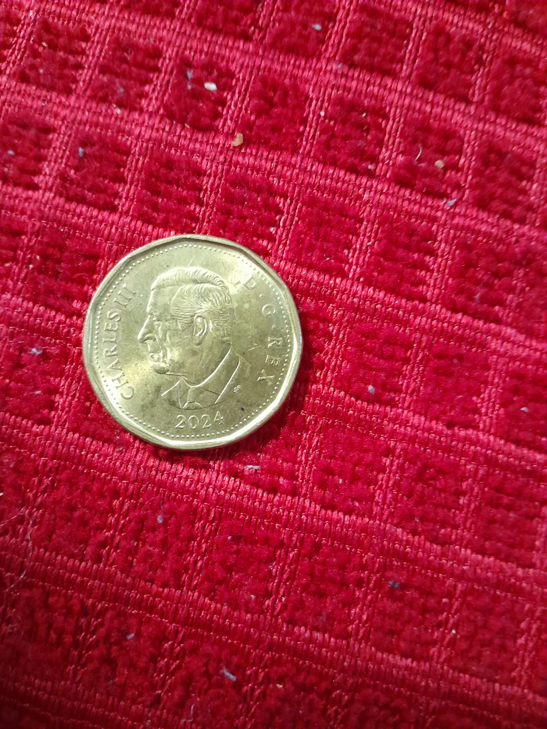 Canada Dollar Coin 2024 - photo 2