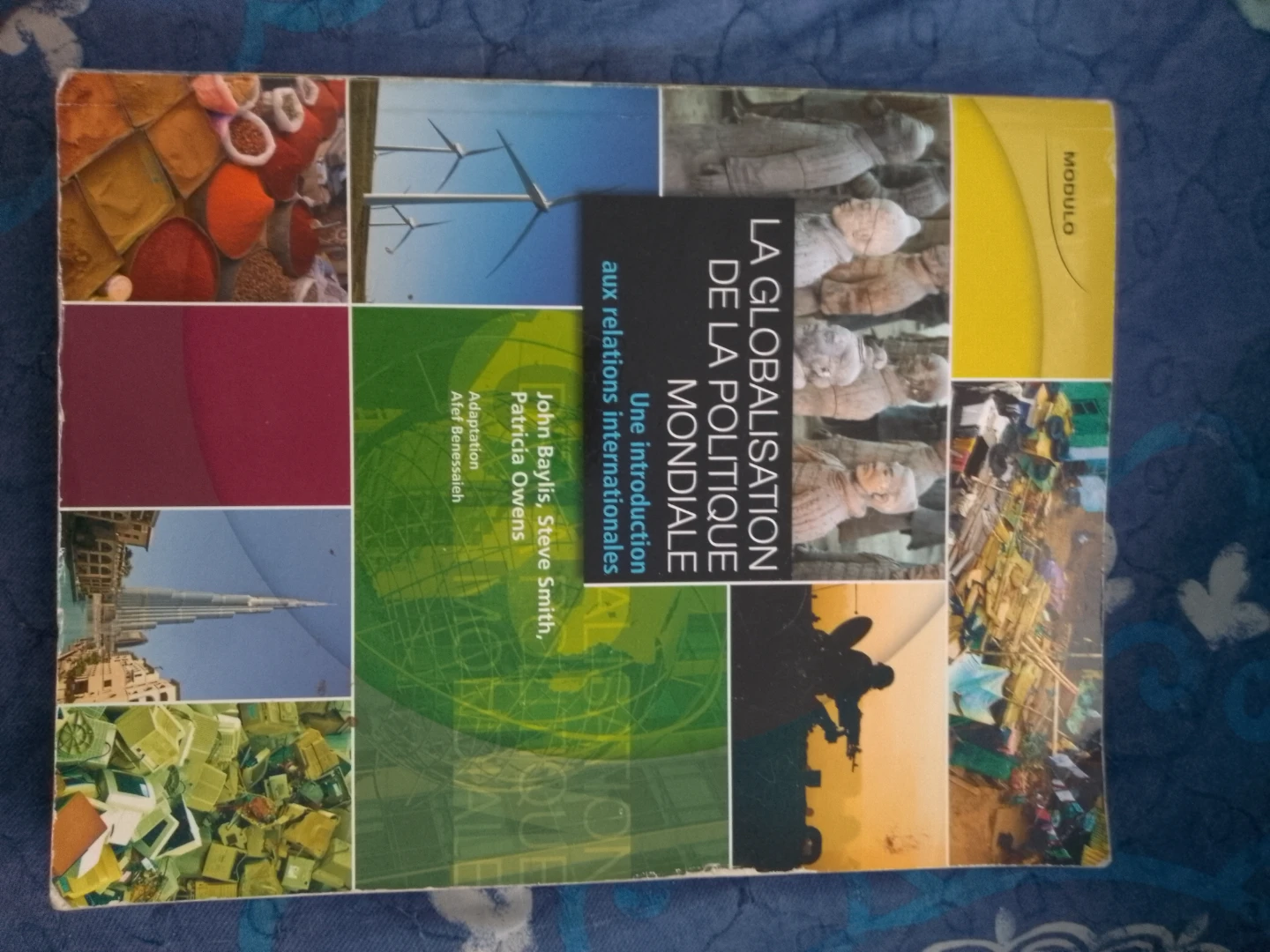 La Globalisation de la Politique Mondiale text-book 🌱