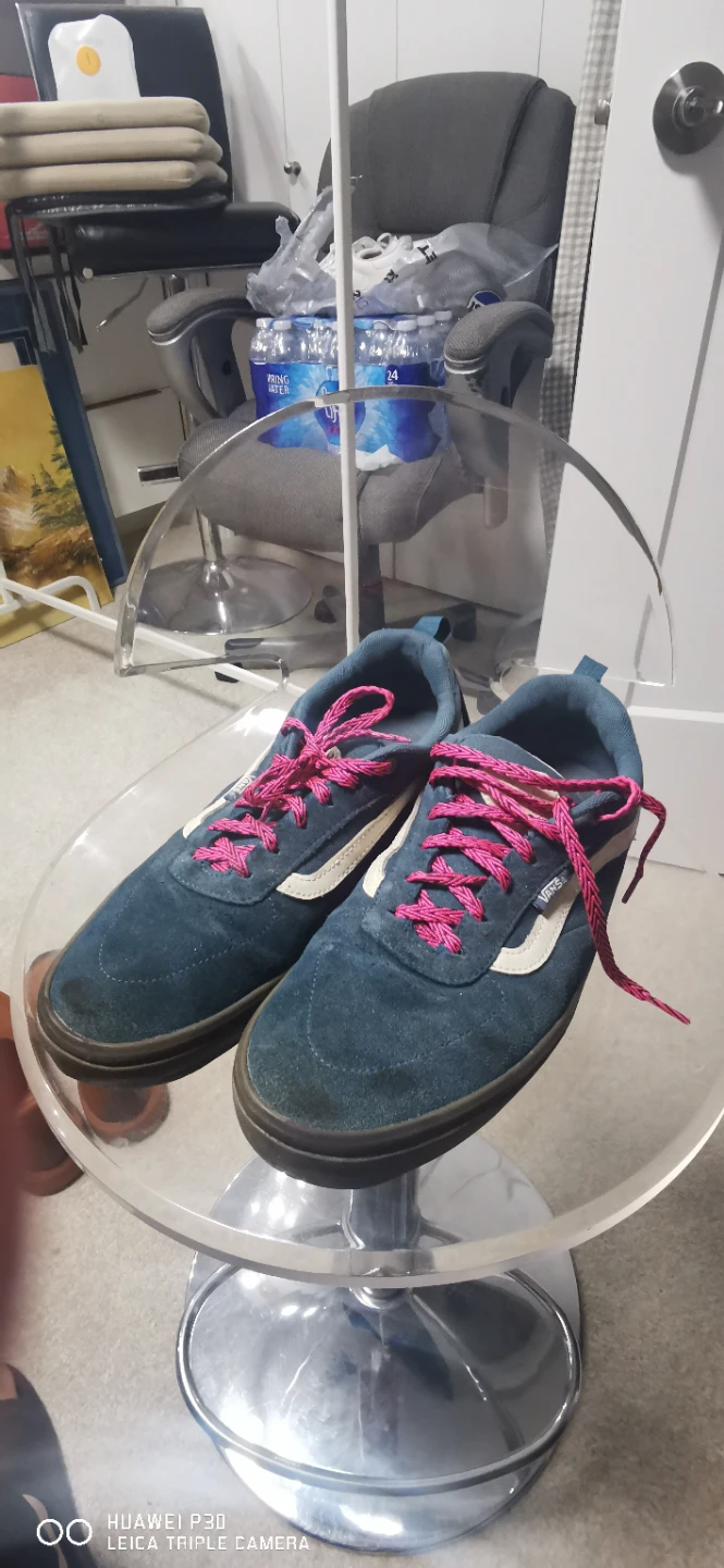 Vans "World's #1" Skateboarding Shoes