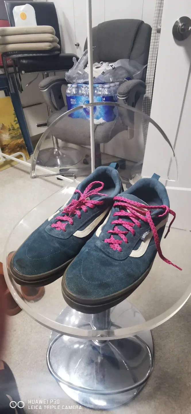 Vans "World's #1" Skateboarding Shoes