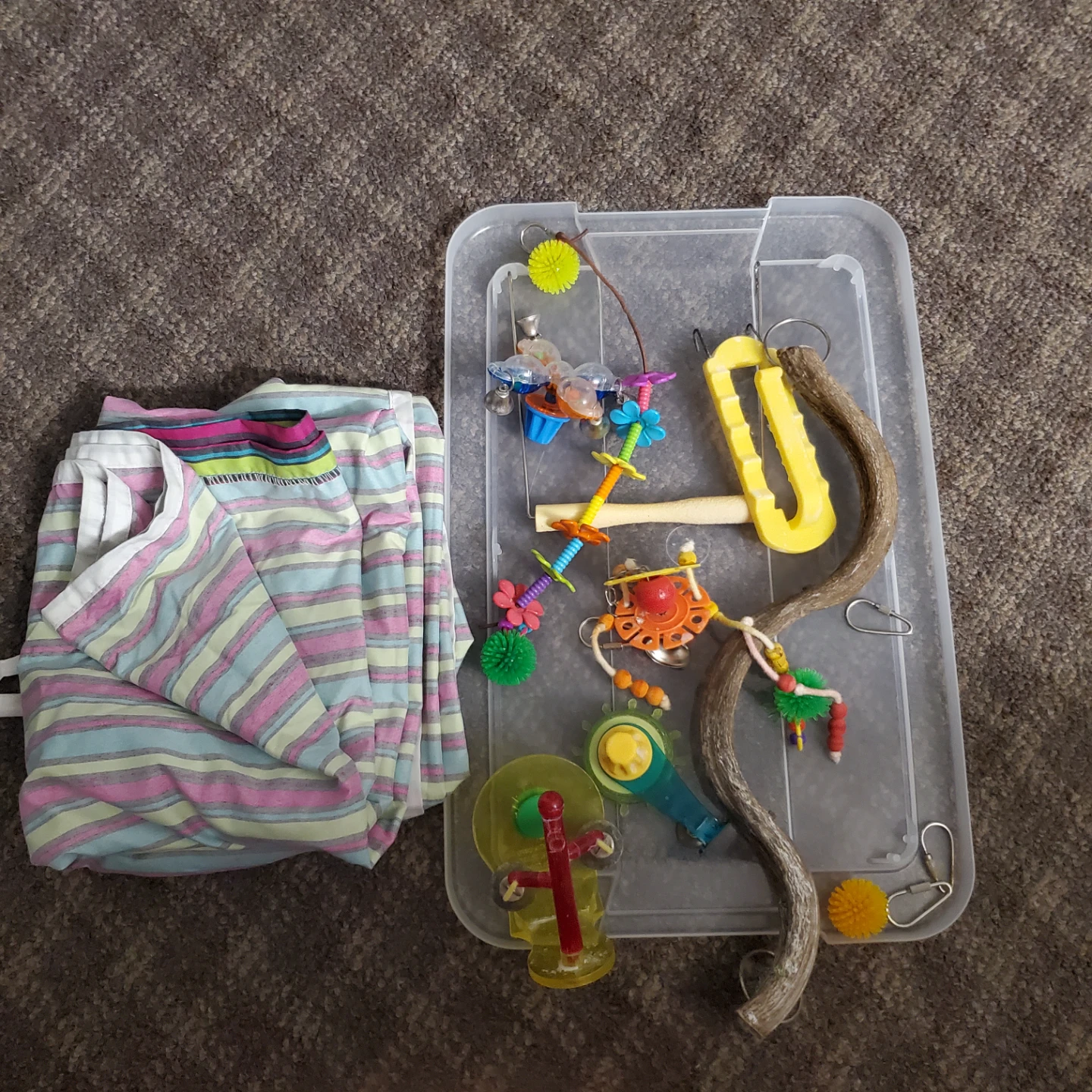 Bird Toy Assortment with Perch and Chews