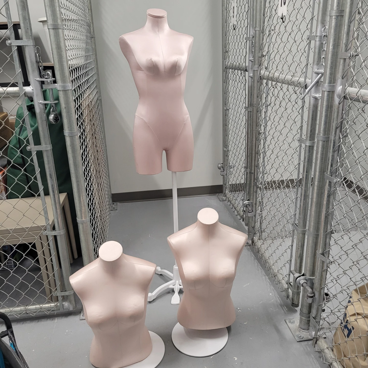 Pink Mannequin Torso Set