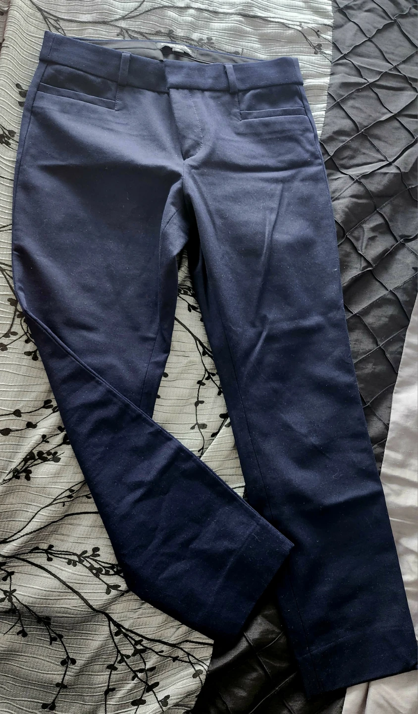 Banana Republic Sloan Petite Navy Pants Size 2