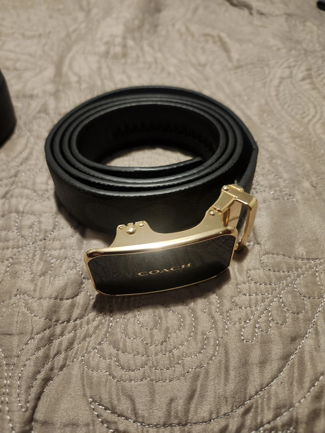 Coach Belt
