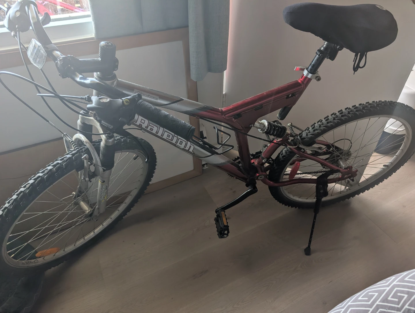 Raleigh Full Suspension Mountain Bike