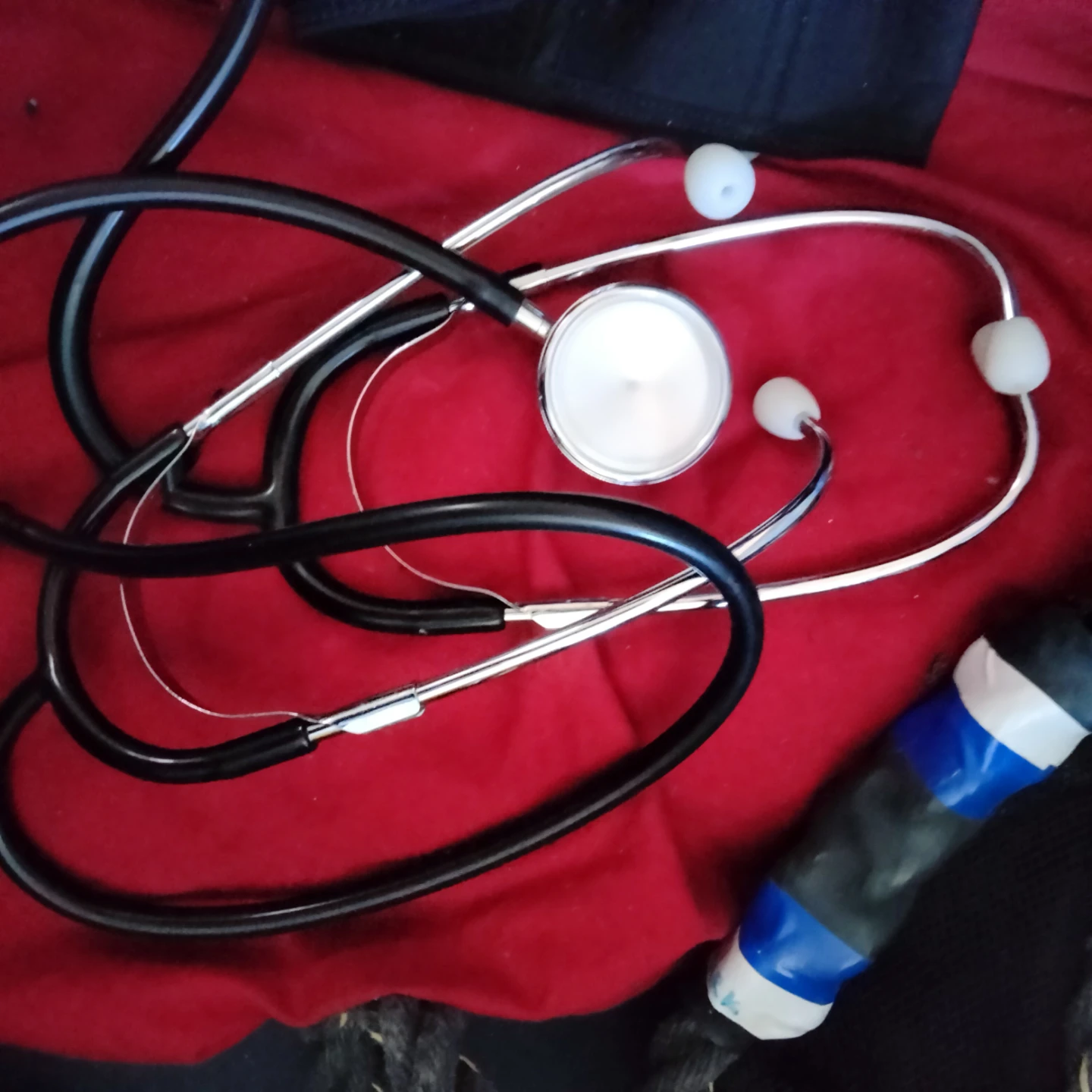 Dual Head Stethoscope - photo 2
