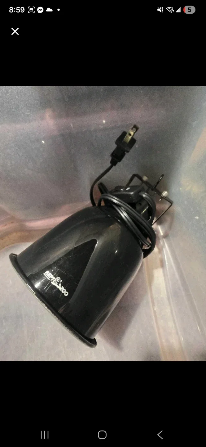 REPTIZOO Black Dome Lamp Fixture