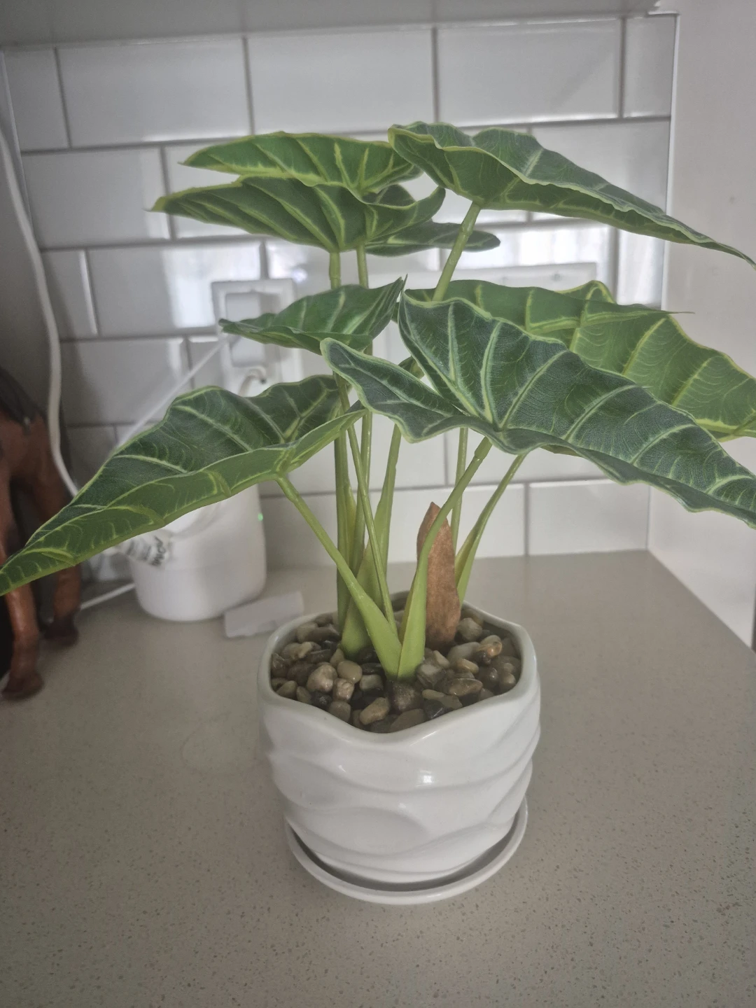 Artificial Alocasia 'Polly' Plant in White Pot