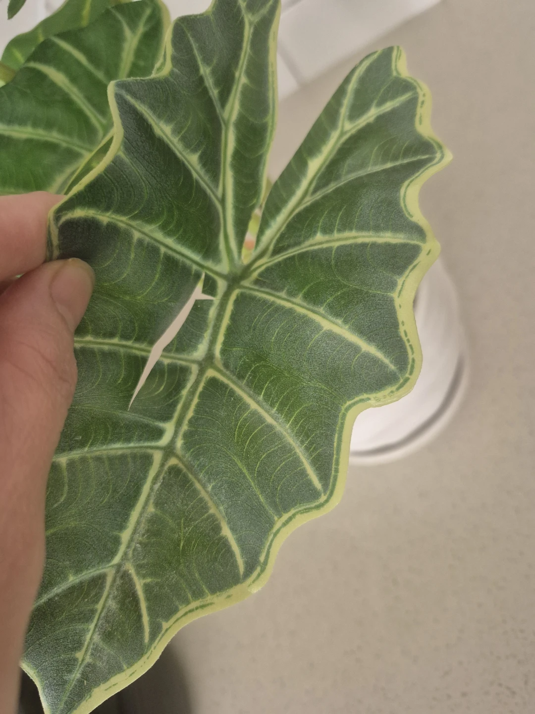 Artificial Alocasia 'Polly' Plant in White Pot - photo 2