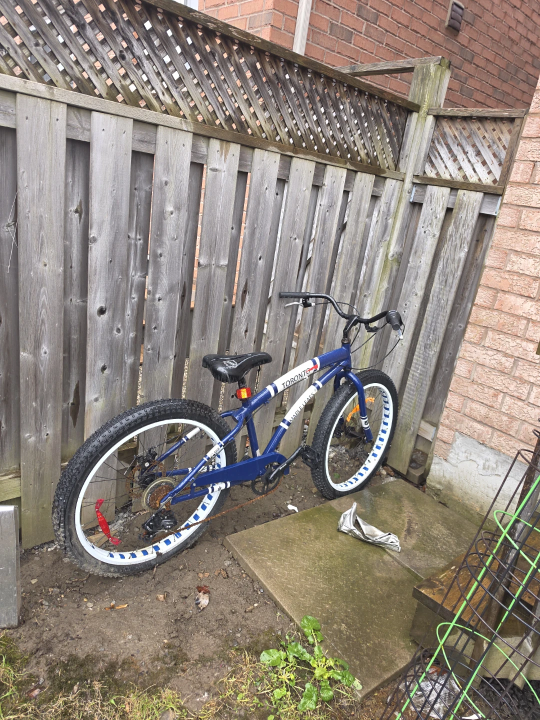 Blue Fat Tire Bike