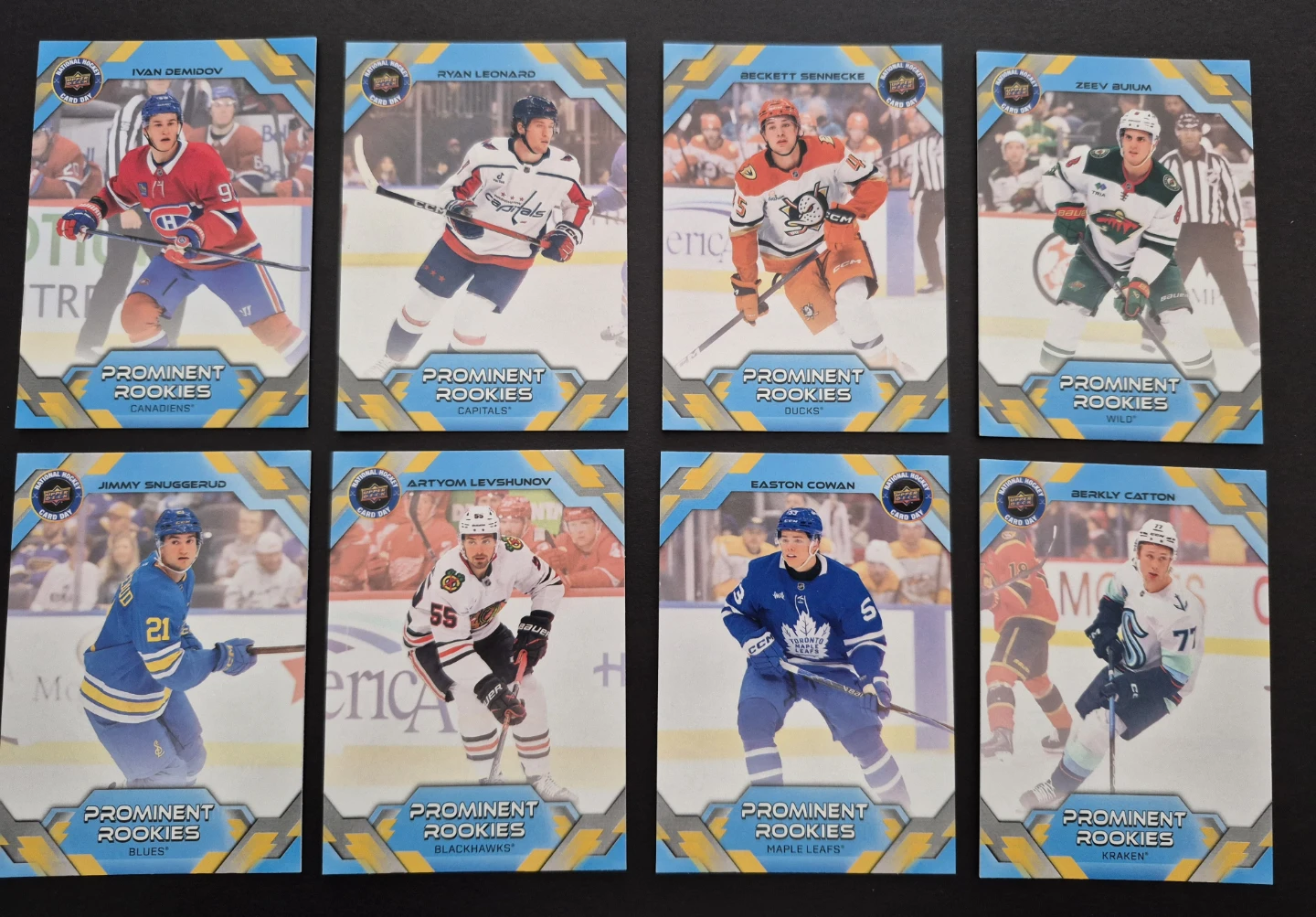 Prominent Rookies NHCD