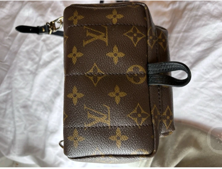 Louis Vuitton Monogram Palm Springs Mini Backpack - photo 3