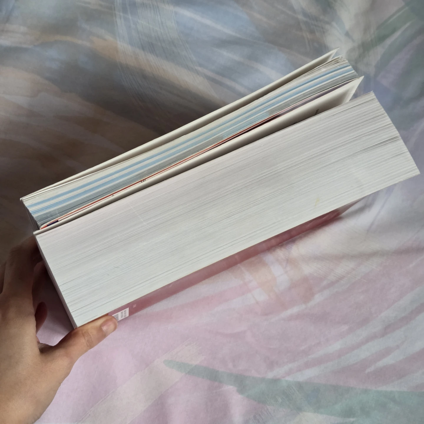 Paperback Dictionary & Rhyming Dictionary - photo 3