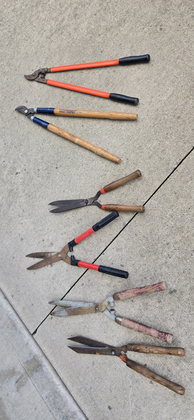 Assorted Garden Shears and Loppers