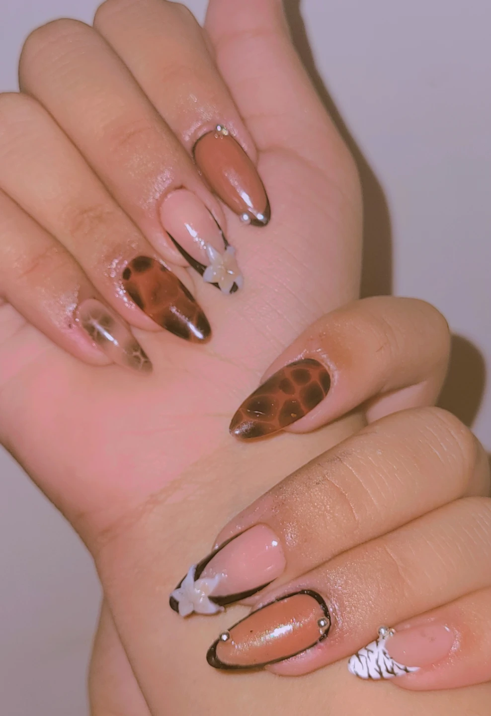 Custom Press-On Nails - Tortoiseshell & Tiger Print Accents - photo 2