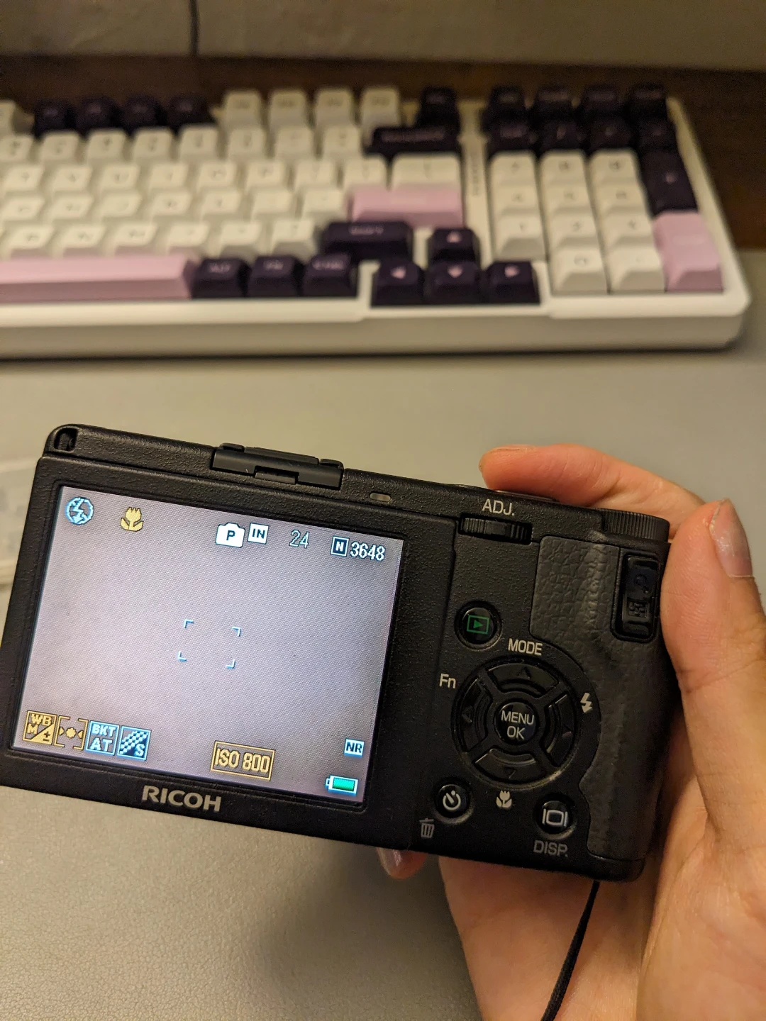 Ricoh GR Digital II Camera