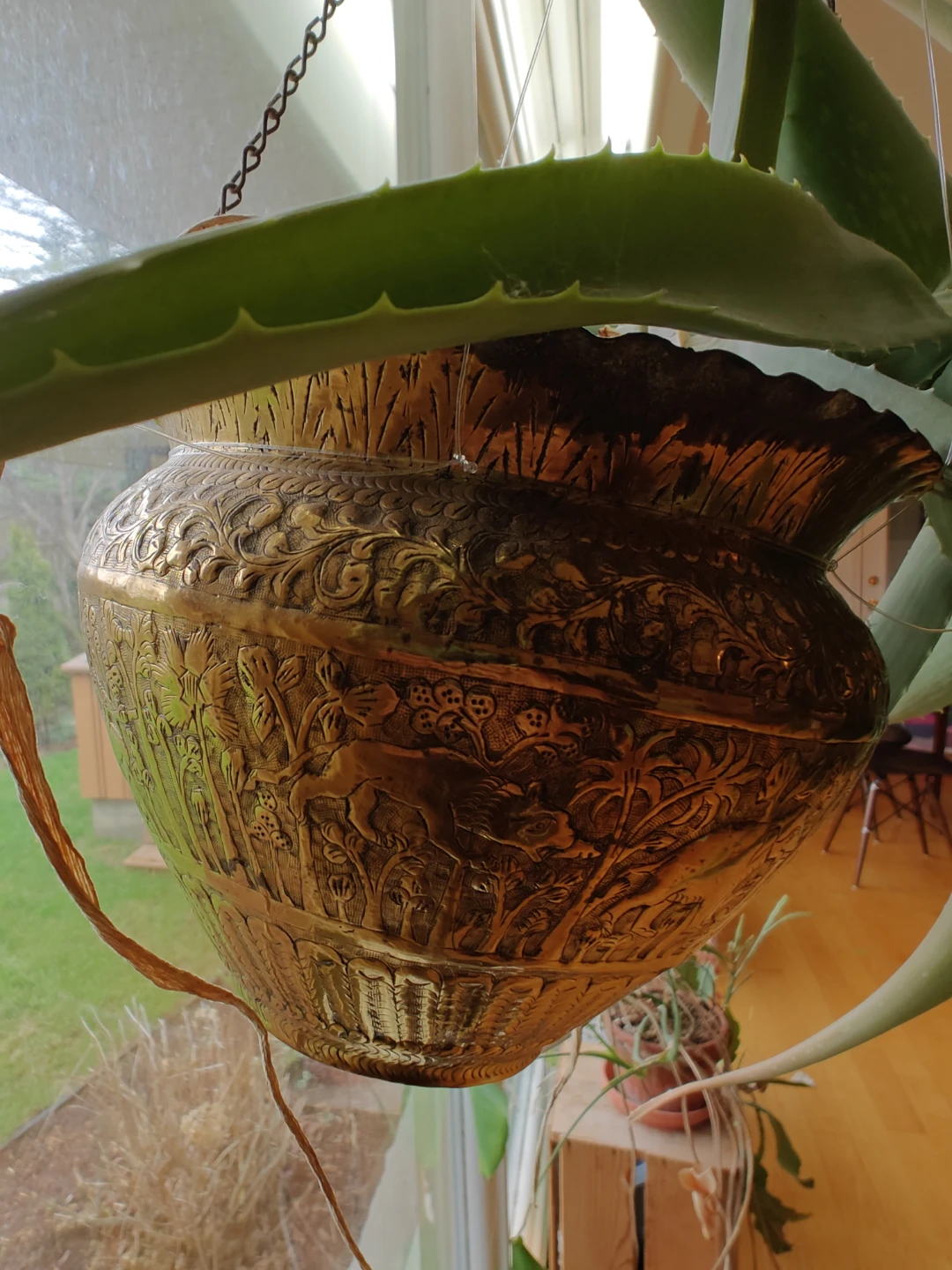 Hanging Aloe Vera Plant in Ornate Brass Pot - photo 2