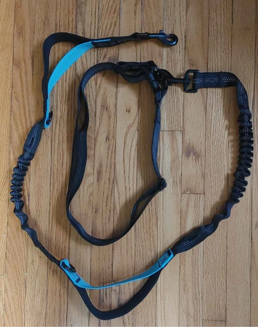Hands-Free Dog Leash with Bungee Cord
