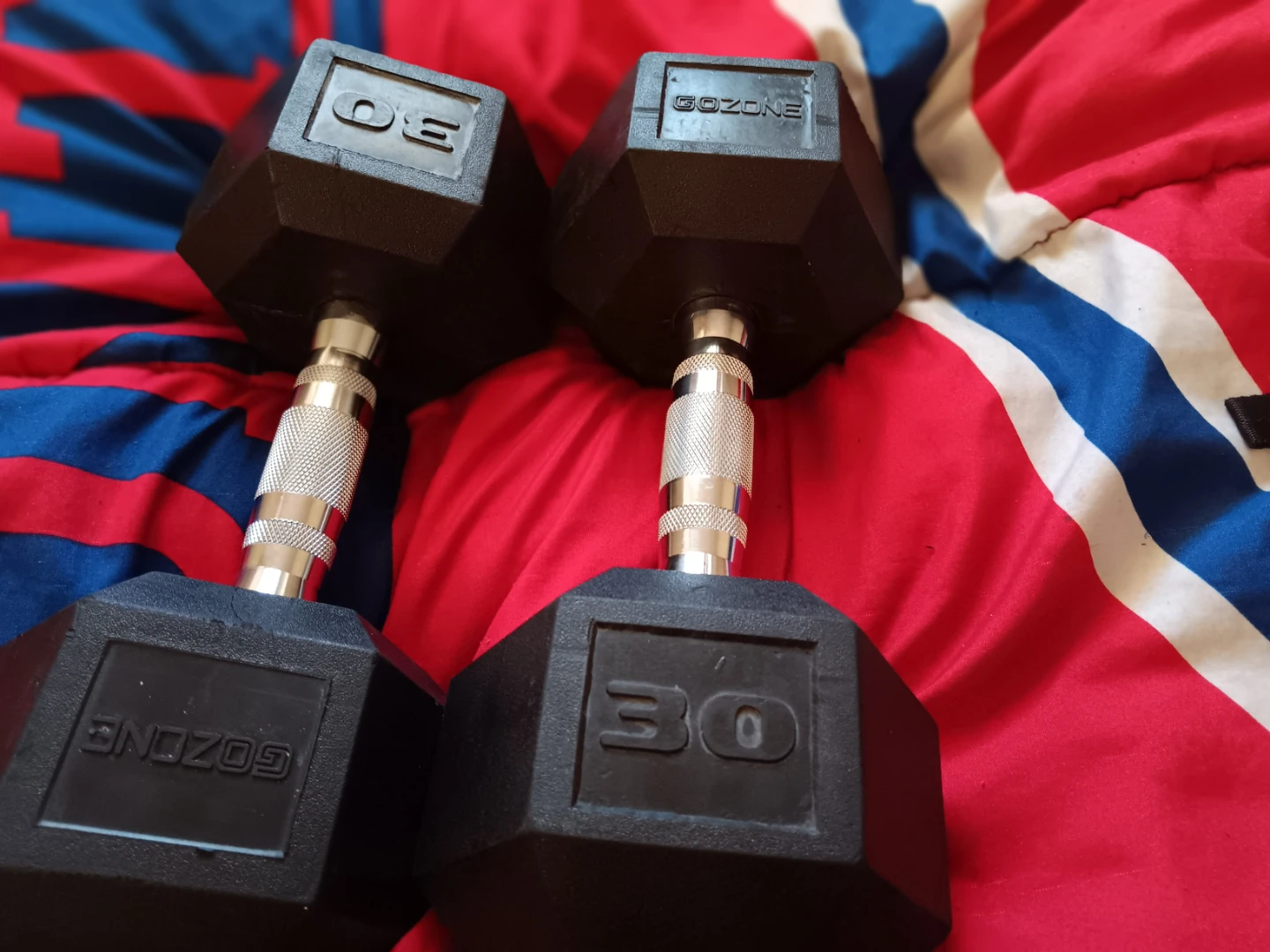 GoZone 30lb  Pair  new never used before
